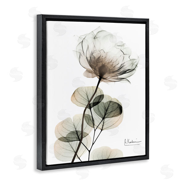 Stupell Industries Albert Koetsier | Simple Elegant White Flower