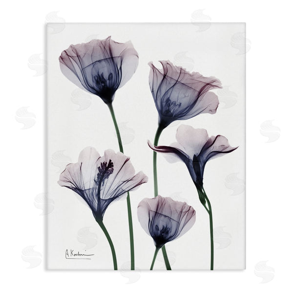 stupell industries Albert Koetsier | Subtle Fresh Flowers