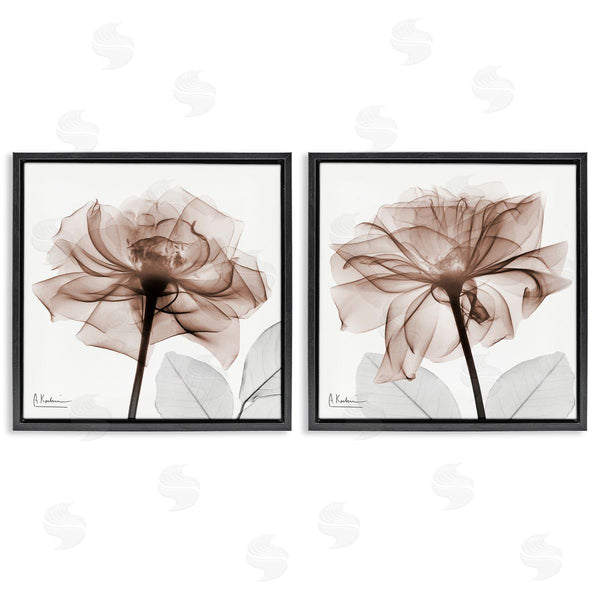 Stupell Industries Albert Koetsier | Translucent Rose Blossoms