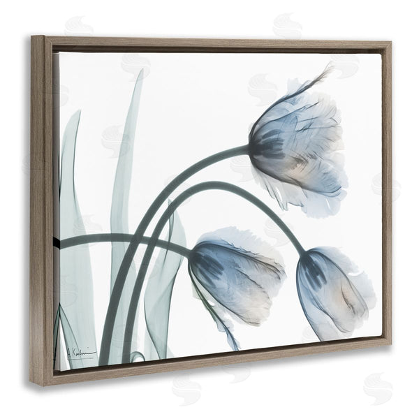 Stupell Industries Albert Koetsier | Trendy Mod Tulips