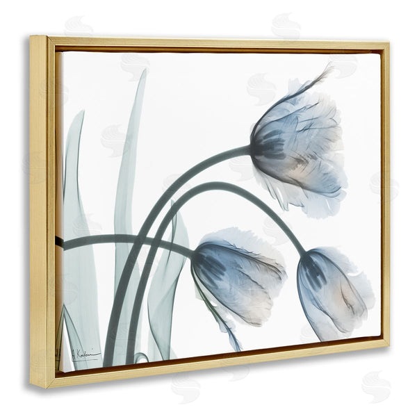 Stupell Industries Albert Koetsier | Trendy Mod Tulips