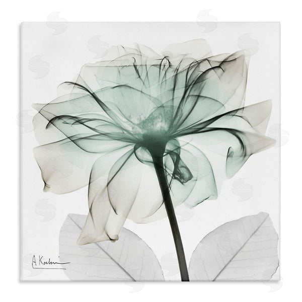 stupell industries Albert Koetsier | Unique Chic Flower Petal