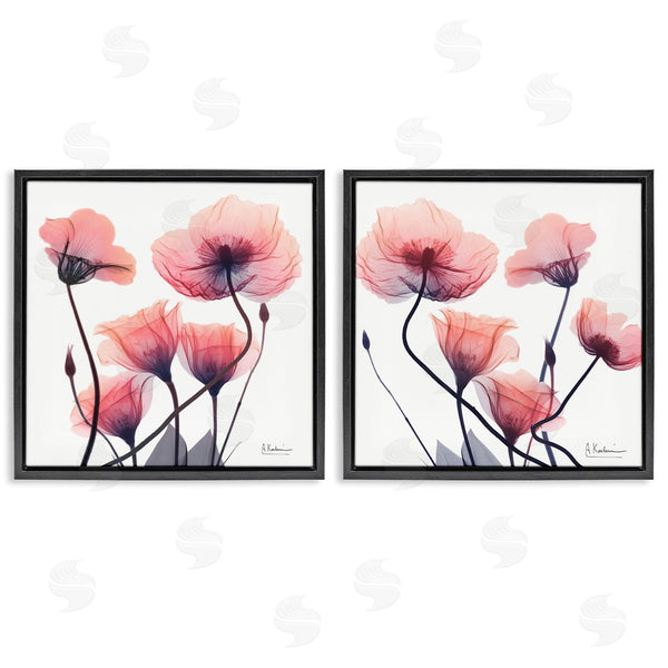 Stupell Industries Albert Koetsier | Various Faded Pink Flowers