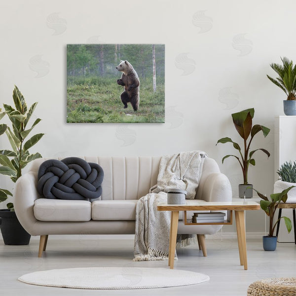 Stupell Industries Alex Jevon | Dancing Bear In Forest Wall Art
