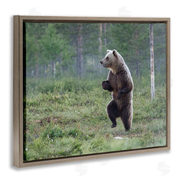 Stupell Industries Alex Jevon | Dancing Bear In Forest Wall Art