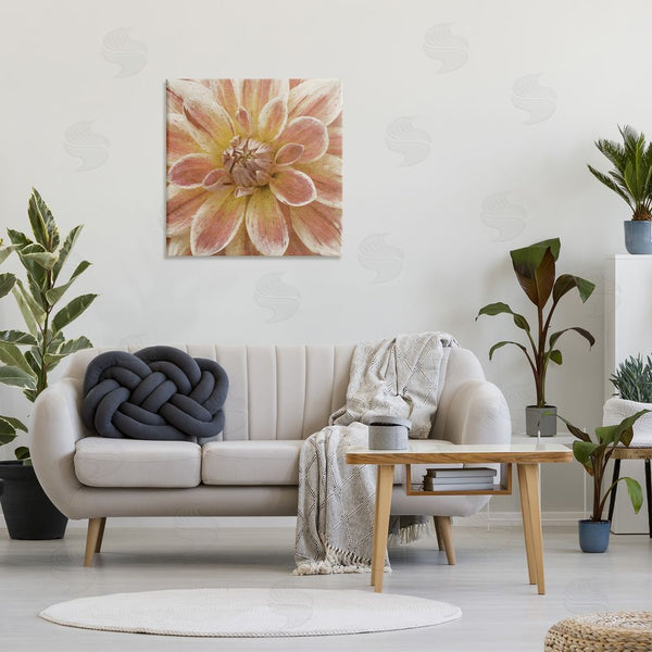 Stupell Industries Alonzo Saunders | Blooming Petals Close Up Wall Art
