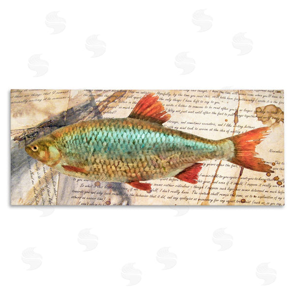 stupell industries Alonzo Saunders | Vintage Pages and Fish Wall Art