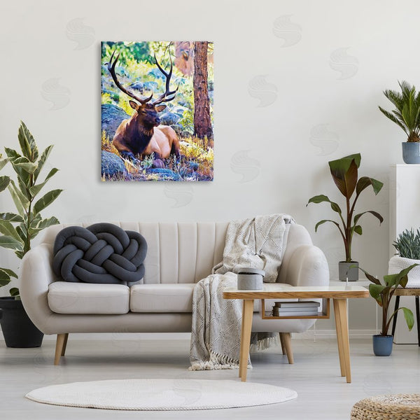 Stupell Industries Alpenglow Workshop | Stag Deer Resting Amid Forest Trees Natural Wildlife Wall Art