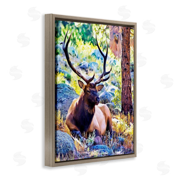 Stupell Industries Alpenglow Workshop | Stag Deer Resting Amid Forest Trees Natural Wildlife Wall Art