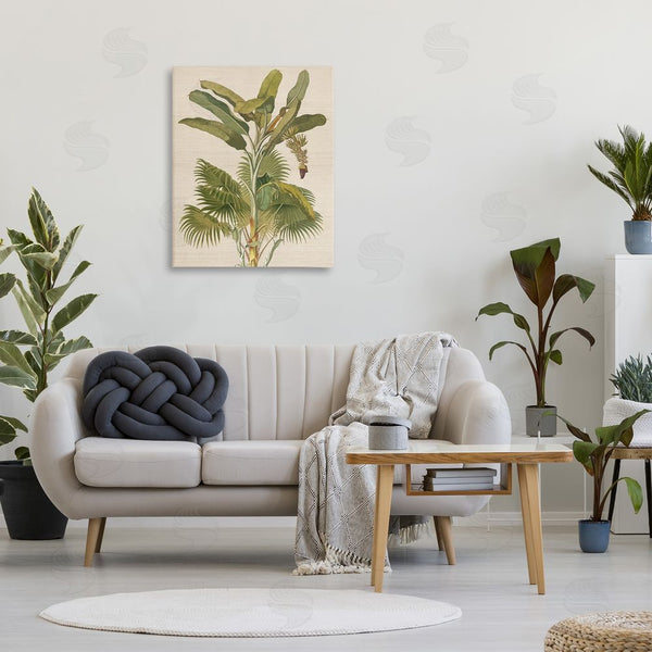 Stupell Industries Amber Sterling | Vintage Tropical Plant Wall Art