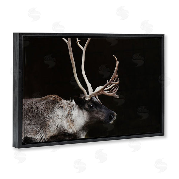 Stupell Industries Amy Carroll | Dark Reindeer At Night Wall Art