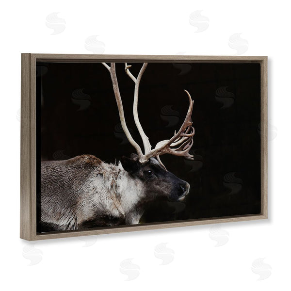 Stupell Industries Amy Carroll | Dark Reindeer At Night Wall Art
