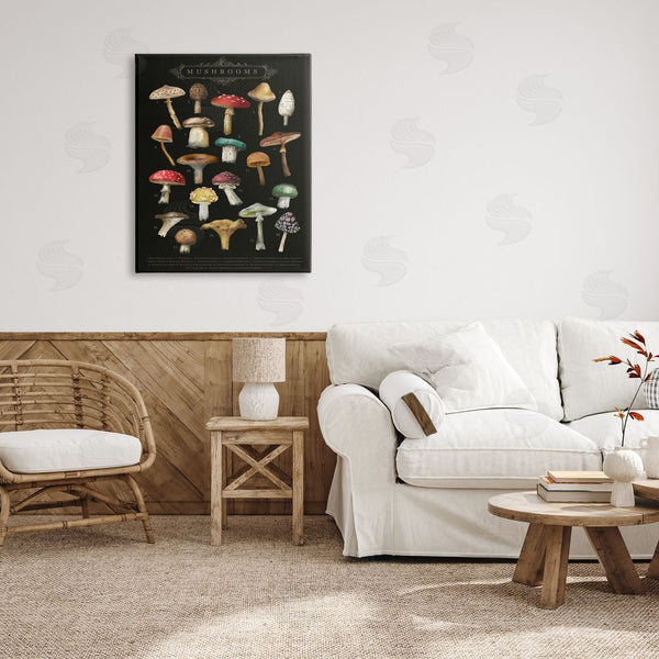 Stupell Industries Amylee Weeks | Dark Informative Mushroom Chart Wall Art