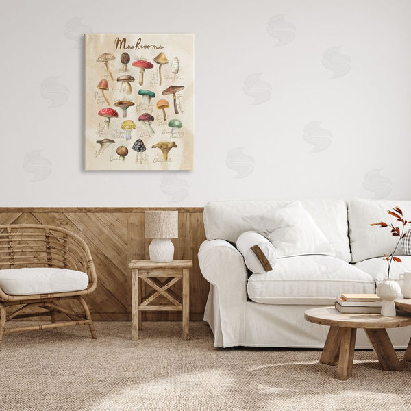 Stupell Industries Amylee Weeks | Vintage Mushroom Types Diagram Wall Art