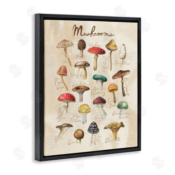 Stupell Industries Amylee Weeks | Vintage Mushroom Types Diagram Wall Art