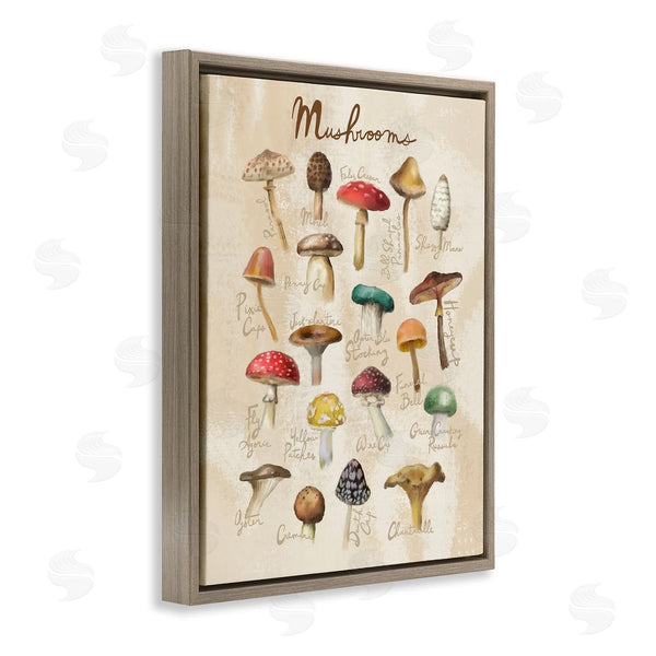 Stupell Industries Amylee Weeks | Vintage Mushroom Types Diagram Wall Art