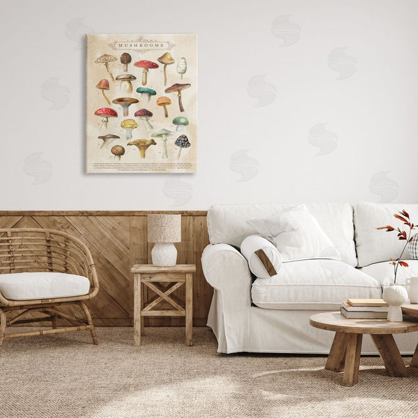 Stupell Industries Amylee Weeks | Vintage Mushrooms Nature Studies Wall Art