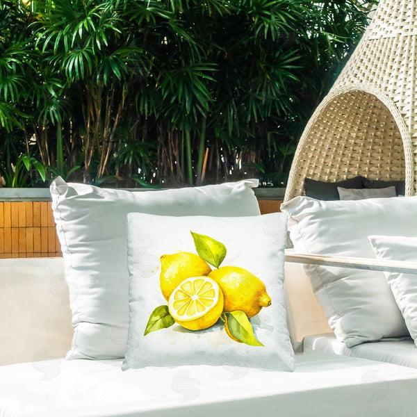 Stupell Industries Andrea Haase | Lemon Harvest Fruits Printed Throw Pillow