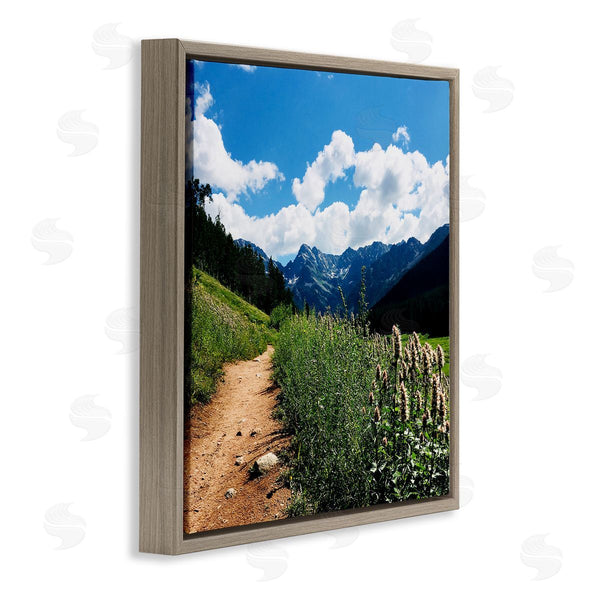 Stupell Industries Anna Coppel | Mountain Field Nature Path Wall Art