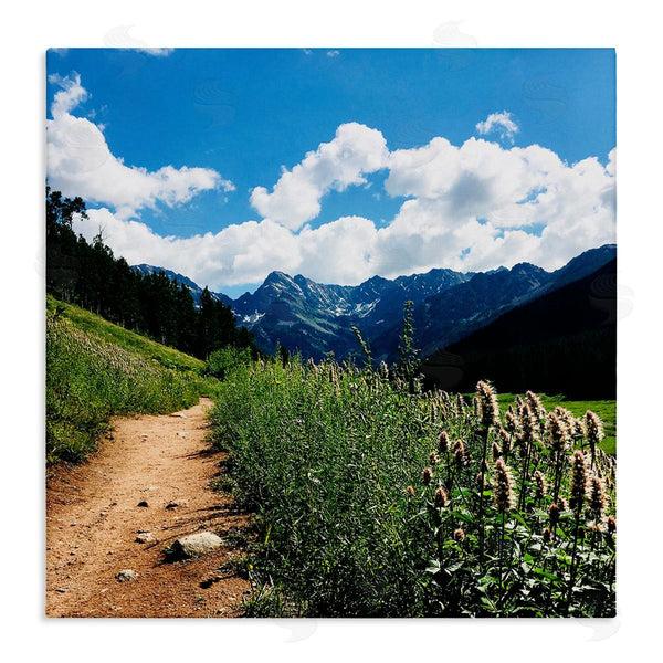 stupell industries Anna Coppel | Mountain Field Nature Path Wall Art