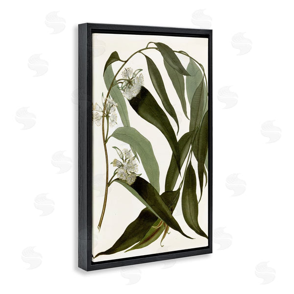 Stupell Industries Annabelle Hall | Curving Wild Herb Flower