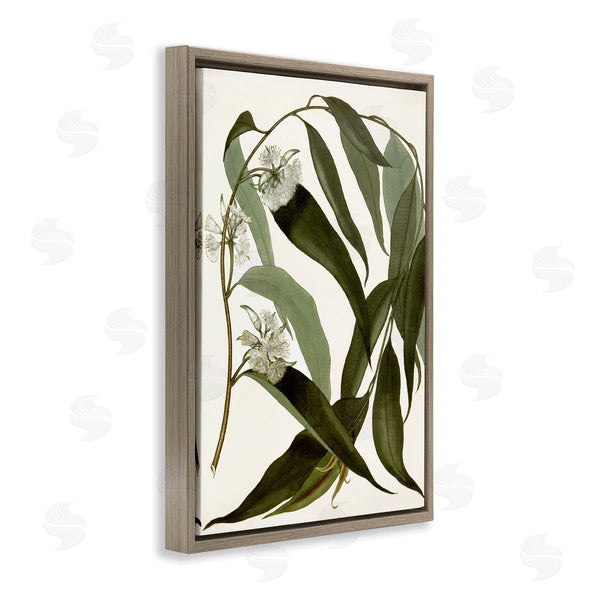 Stupell Industries Annabelle Hall | Curving Wild Herb Flower