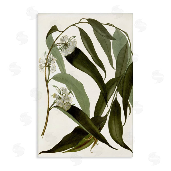 stupell industries Annabelle Hall | Curving Wild Herb Flower