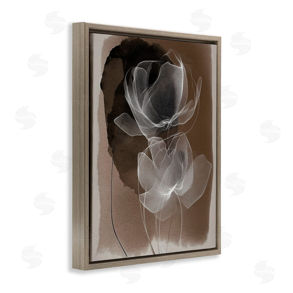 Stupell Industries Annabelle Hall | Gossamer Roses On Brown