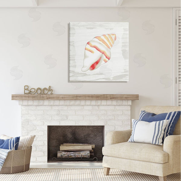 Stupell Industries Anne Bailey | Conch Shell Patterned Wall Art