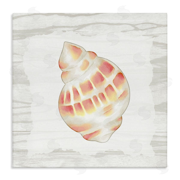 stupell industries Anne Bailey | Pink Rustic Seashell Wall Art