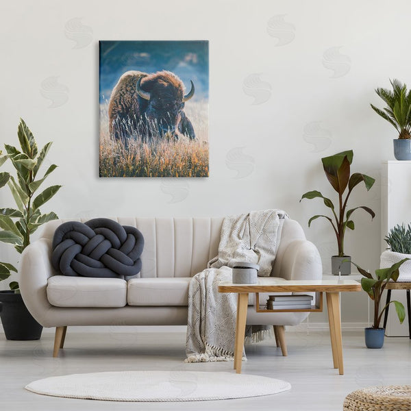 Stupell Industries Annie Bailey Art | Bison In Meadow Photography Wall Art