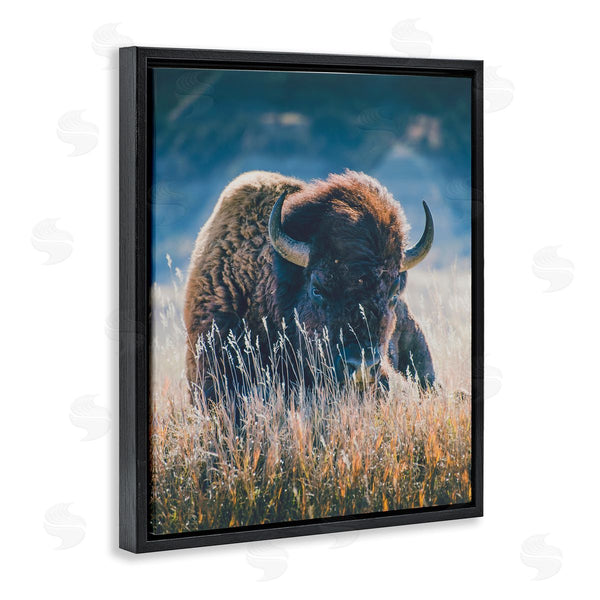 Stupell Industries Annie Bailey Art | Bison In Meadow Photography Wall Art