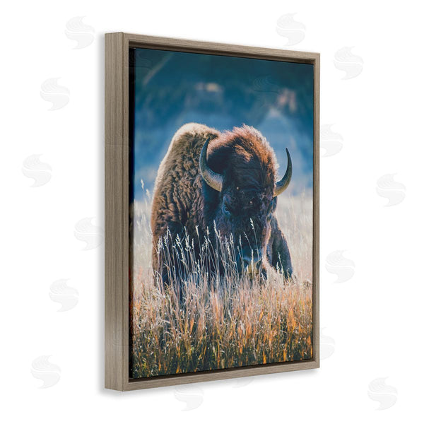Stupell Industries Annie Bailey Art | Bison In Meadow Photography Wall Art