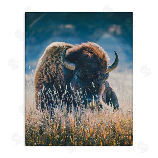 stupell industries Annie Bailey Art | Bison in Meadow Photography Wall Art