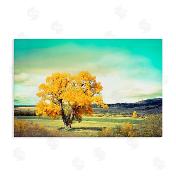 stupell industries Annie Bailey Art | First To Turn Tree Wall Art