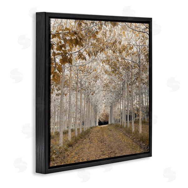 Stupell Industries Assaf Frank | White Gold Birch Grove