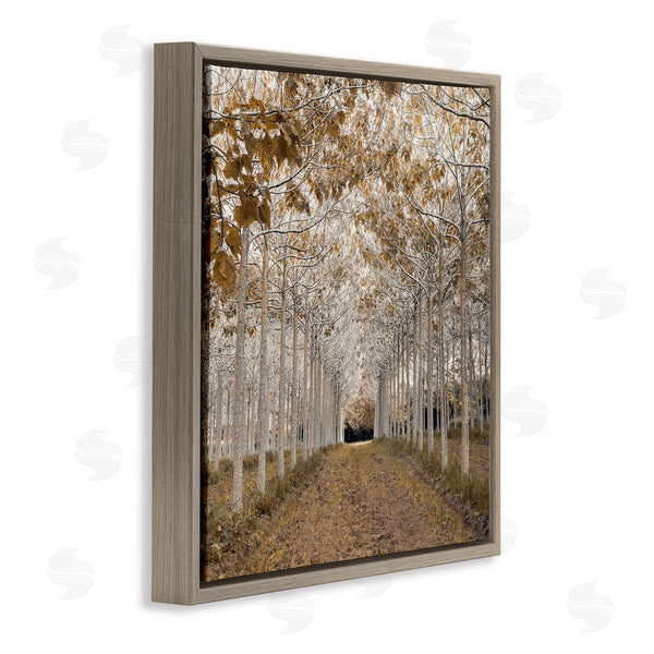 Stupell Industries Assaf Frank | White Gold Birch Grove