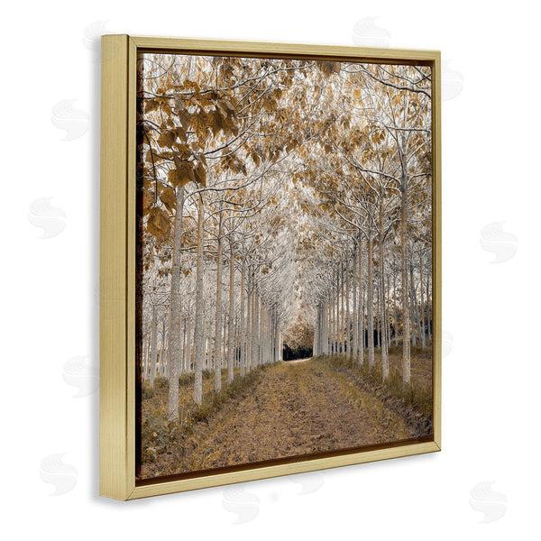 Stupell Industries Assaf Frank | White Gold Birch Grove