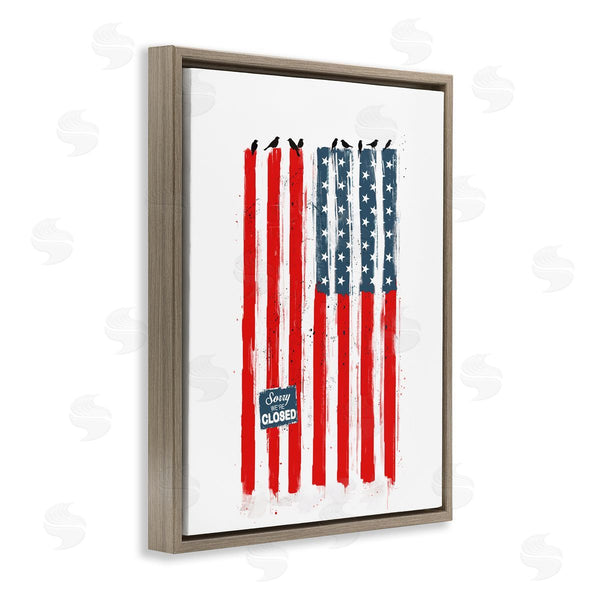 Stupell Industries Balazs Solti | American Flag Birds Political Statement