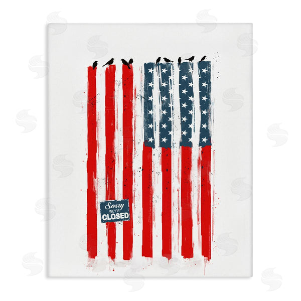 stupell industries Balazs Solti | American Flag Birds Political Statement