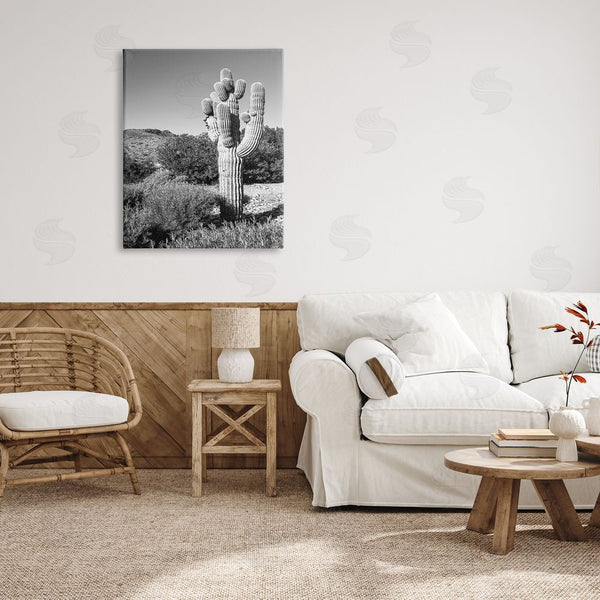 Stupell Industries Bill Carson Photography | Thick Desert Cactus Black White Photography Canyon Landscape Wall Art