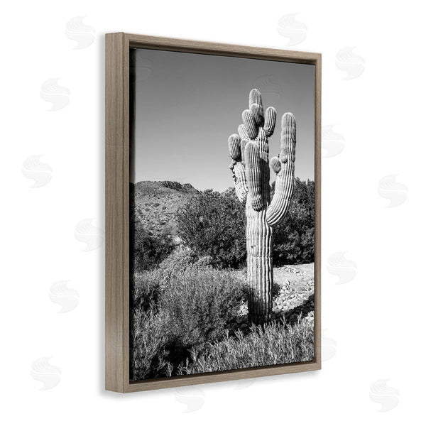 Stupell Industries Bill Carson Photography | Thick Desert Cactus Black White Photography Canyon Landscape Wall Art