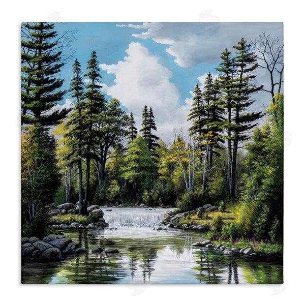 stupell industries Bill Saunders | Before The Falls Landscape