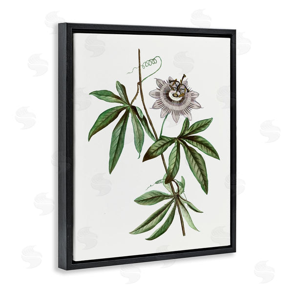 Stupell Industries CAD Designs | Vintage Circular Bloom