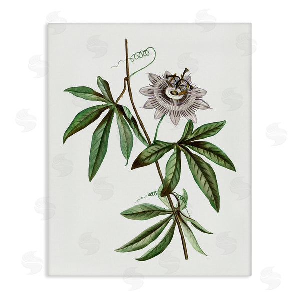 stupell industries CAD Designs | Vintage Circular Bloom