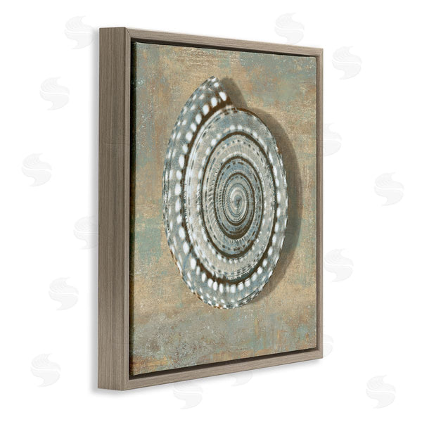 Stupell Industries Caroline Kelly | Nautical Spiral Shell Vintage Coastal Muted Neutral