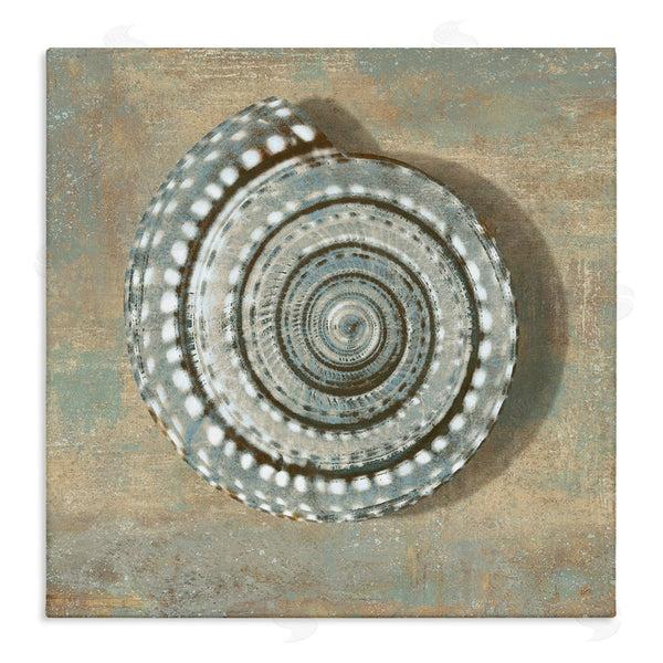 stupell industries Caroline Kelly | Nautical Spiral Shell Vintage Coastal Muted Neutral