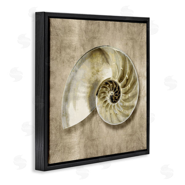 Stupell Industries Caroline Kelly | Nautilus Shell Interior Intricate Animal Muted Neutral