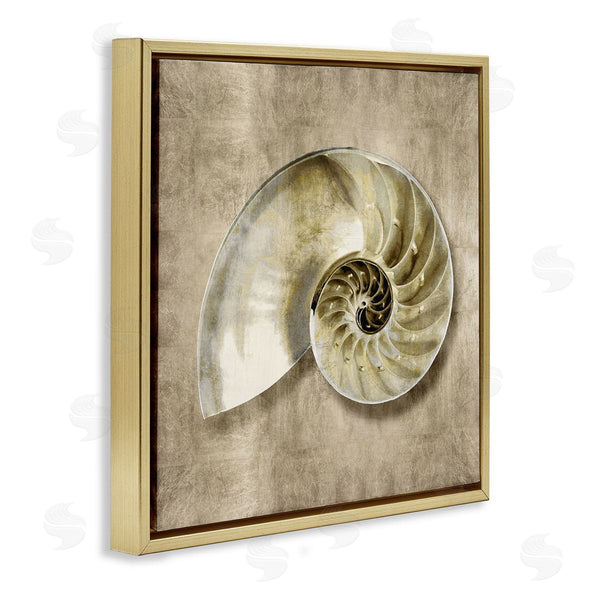 Stupell Industries Caroline Kelly | Nautilus Shell Interior Intricate Animal Muted Neutral
