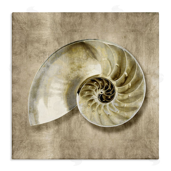 stupell industries Caroline Kelly | Nautilus Shell Interior Intricate Animal Muted Neutral